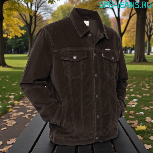 Вельветовая куртка Montana 4806-5, коричневый