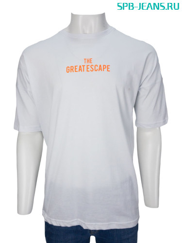 Мужская футболка Catch 9072 white