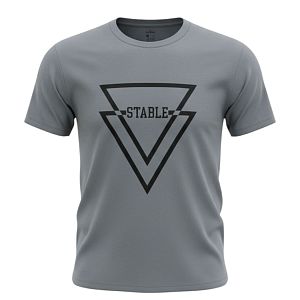 Футболка Samo 5014 stable серый