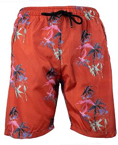 Мужские пляжные шорты Palm