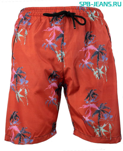 Мужские пляжные шорты Palm